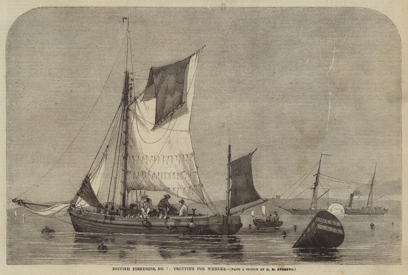 Pêcheries britanniques, n° 7, pêche aux bulots - George Henry Andrews