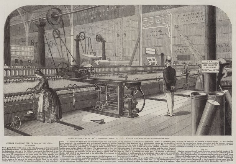 Fabrication de coton à l