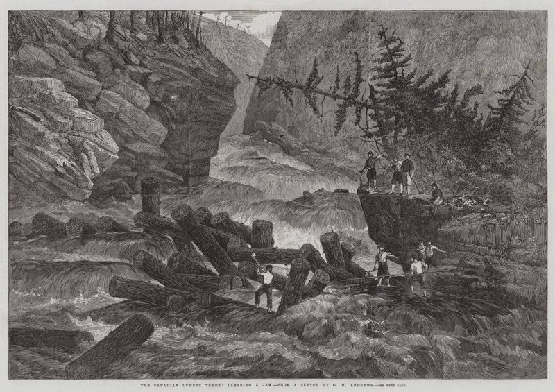 Le commerce du bois canadien, dégagement d
