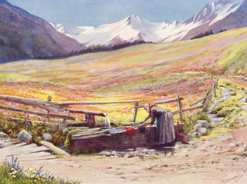 Champs de début juin au-delà de Praz de Fort dans le Val Ferret, avec en arrière-plan le Groupe du Grand Saint-Bernard et du Grand Golliaz - George Jackson Flemwell
