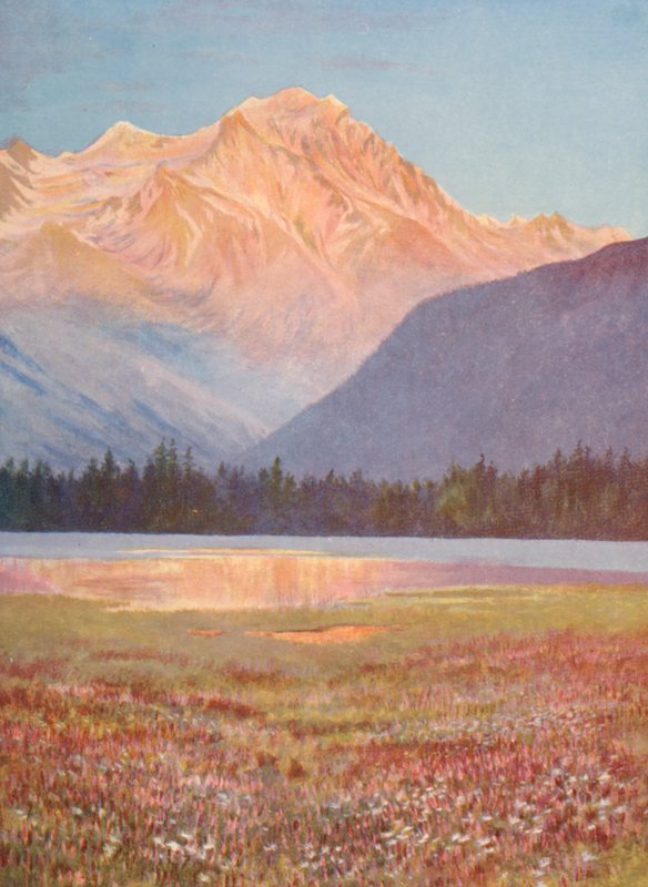 Soirée parmi les champs de bistorte rose au lac Champex; lueur du coucher de soleil sur le Grand Combin, juillet - George Jackson Flemwell