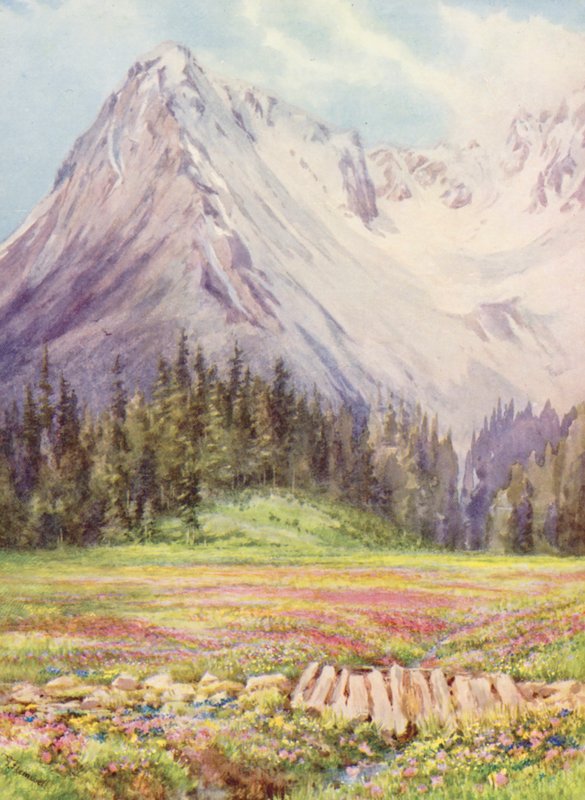 Gentiana verna et Primula farinosa dans les champs inférieurs de Champex vers la fin mai, avec une partie du massif de Saleinaz en arrière-plan - George Jackson Flemwell