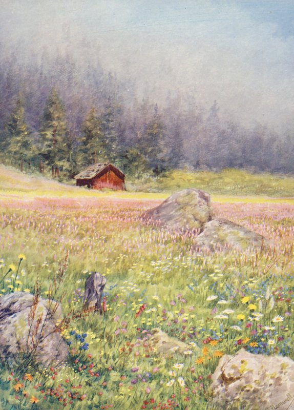 Dans les champs de début juillet à Champex - George Jackson Flemwell