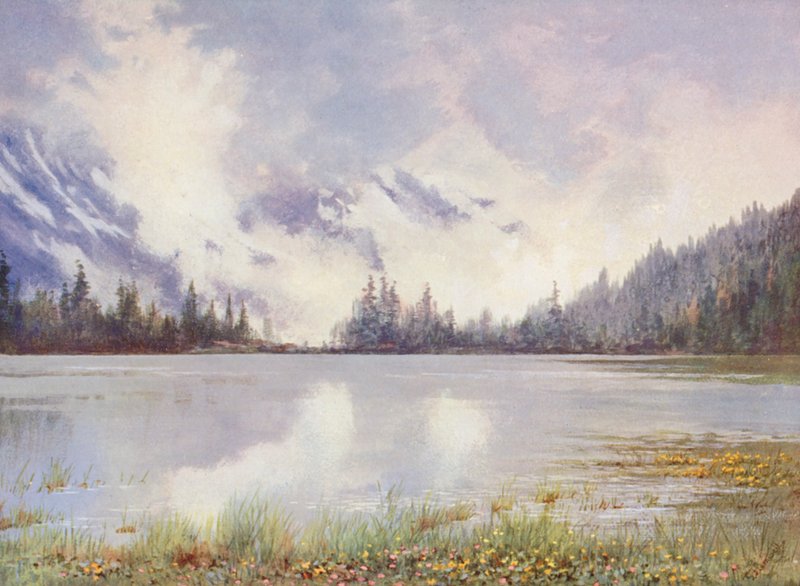 Lac Champex dans les nuages à la fin de mai ; Caltha palustris et Primula farinosa au bord de l