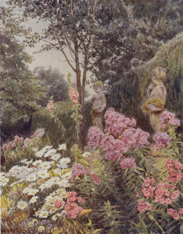 Phlox et Marguerite - George Samuel Elgood