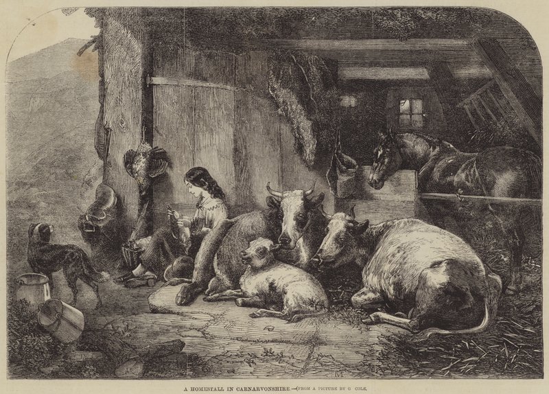 Une ferme au Carnarvonshire - George Vicat Cole