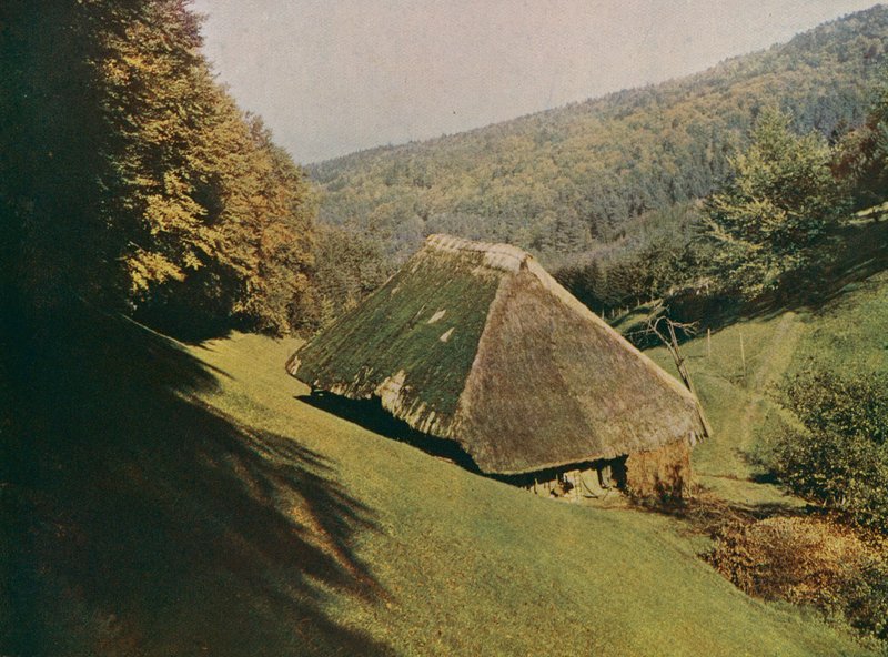 Ferme traditionnelle de la Forêt-Noire, Wildtal, Allemagne (photo couleur) - German Photographer