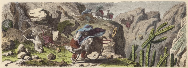 Une caravane de lamas transportant du minerai prise dans une tempête dans les Andes - German School