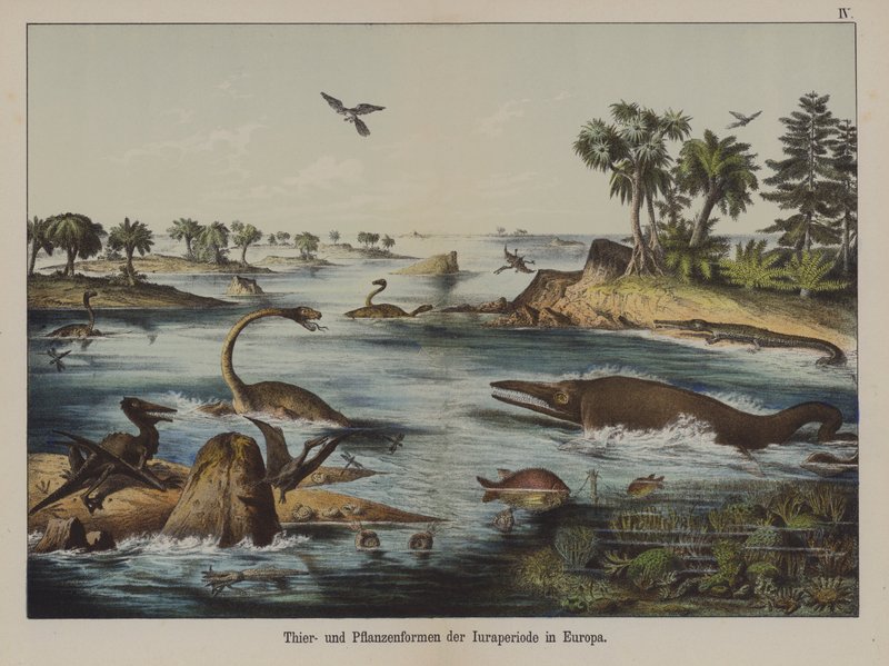Animaux et plantes de la période jurassique en Europe - German School