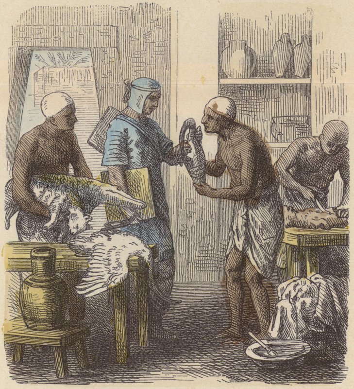 Embaumement des animaux en Égypte ancienne (gravure en couleur) - German School
