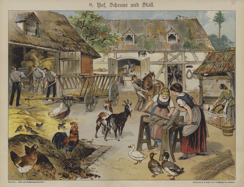 Ferme - German School