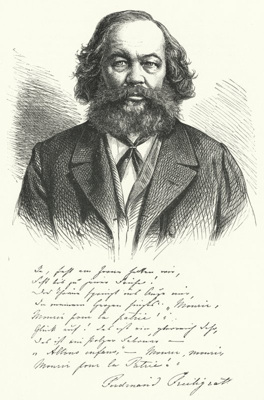 Ferdinand Freiligrath, poète, traducteur et agitateur politique libéral allemand (gravure) - German School
