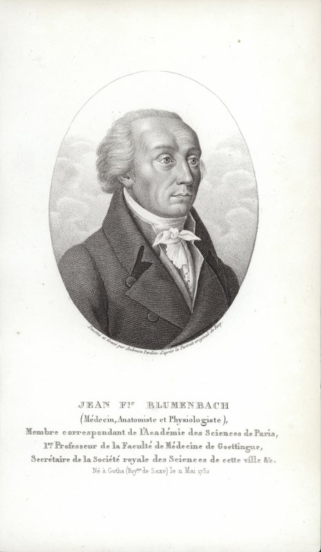 Johann Friedrich Blumenbach - German School