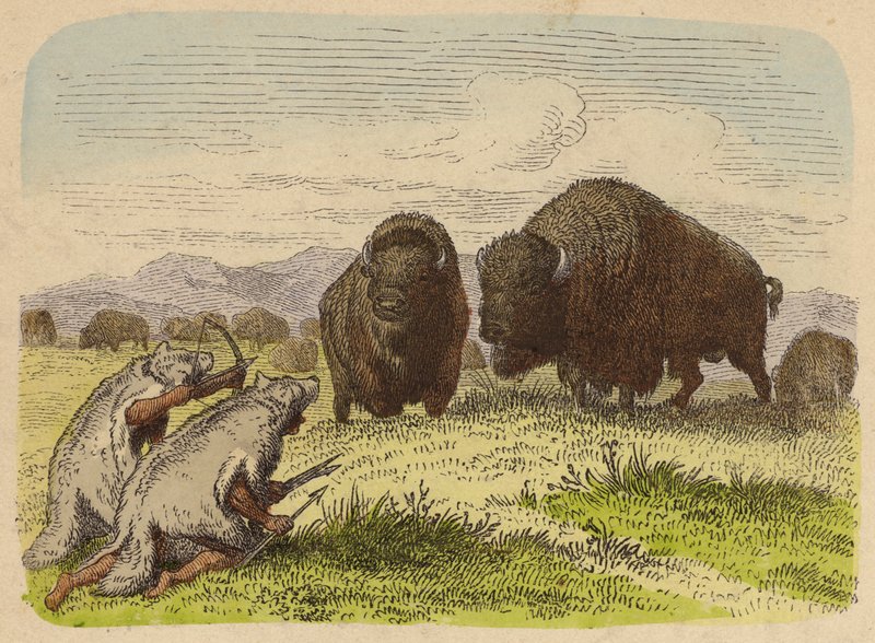Amérindiens portant des peaux de loup chassant le bison - German School