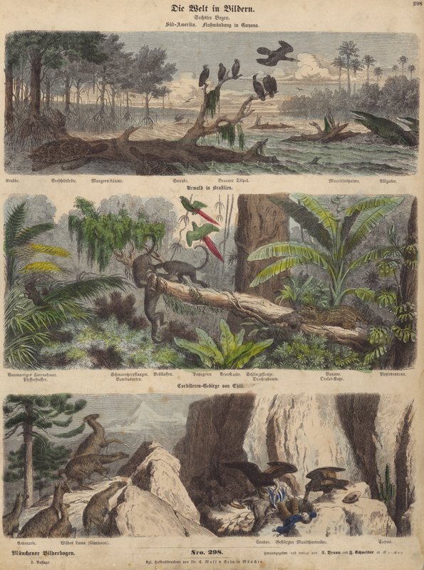 Amérique du Sud : estuaire en Guyane ; jungle au Brésil ; Andes chiliennes - German School