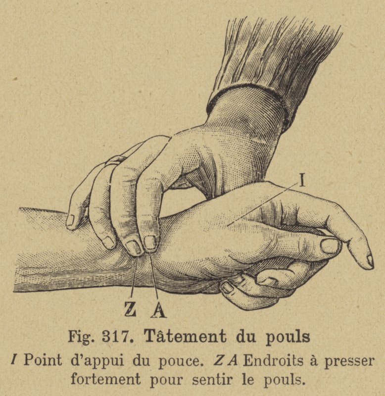 Prendre le pouls au poignet - German School