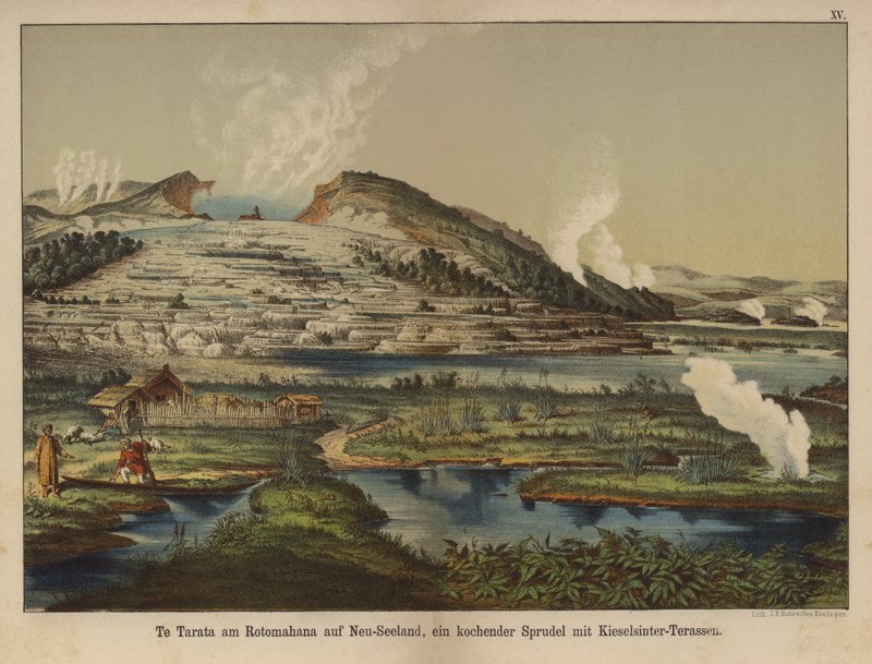 Te Tarata (Terrasse Blanche), dépôts de silice géothermique sur le rivage du lac Rotomahana, Nouvelle-Zélande - German School