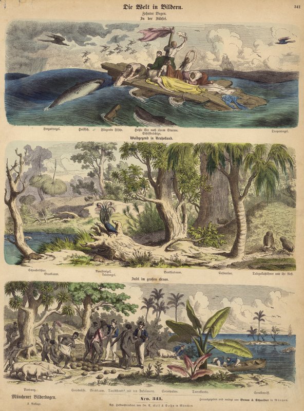 Le Pacifique : survivants d