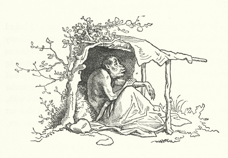 Les deux singes - German School