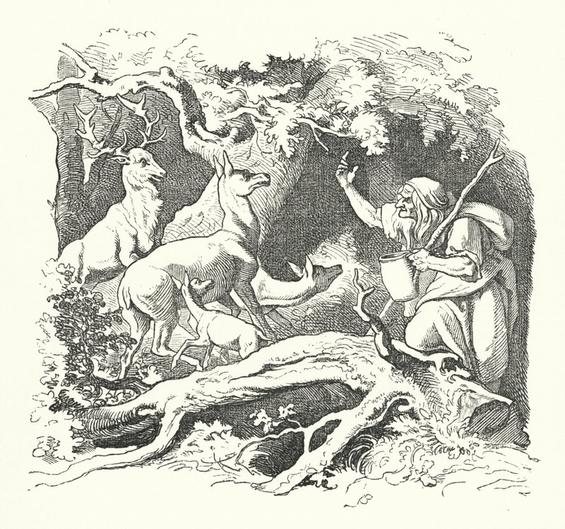La Sorcière et les Enfants du Roi - German School