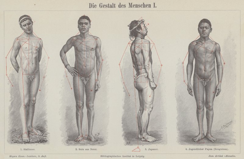 La figure humaine (gravure) - German School