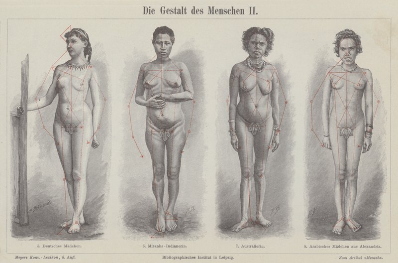 La figure humaine (gravure) - German School