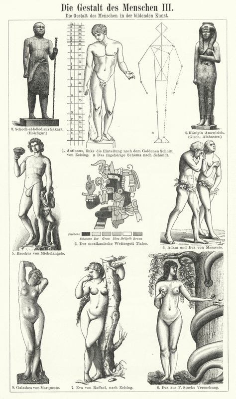 La figure humaine dans les arts visuels (gravure) - German School