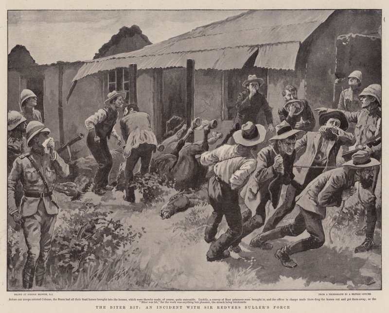 Un mordu mordu, un incident avec la force de Sir Redvers Buller - Gordon Frederick Browne