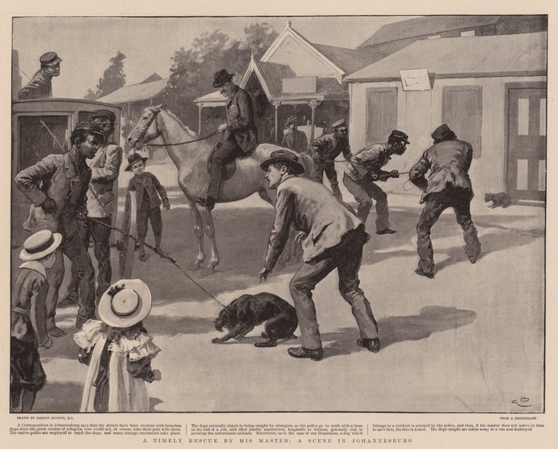 Un sauvetage opportun par son maître, une scène à Johannesburg - Gordon Frederick Browne