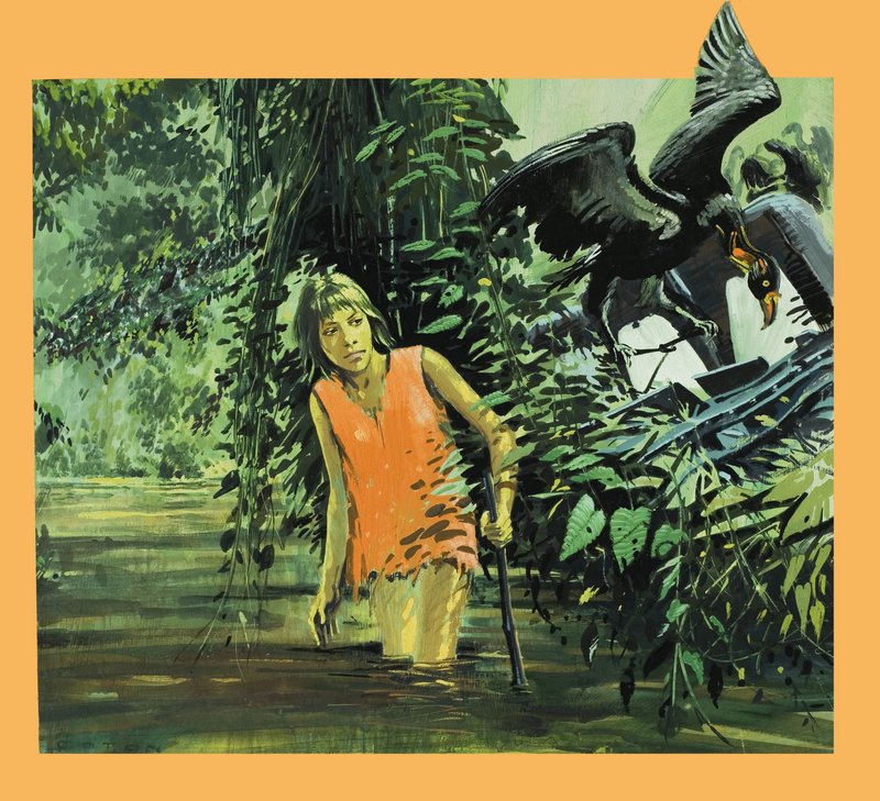 Perdu dans la jungle - Graham Coton