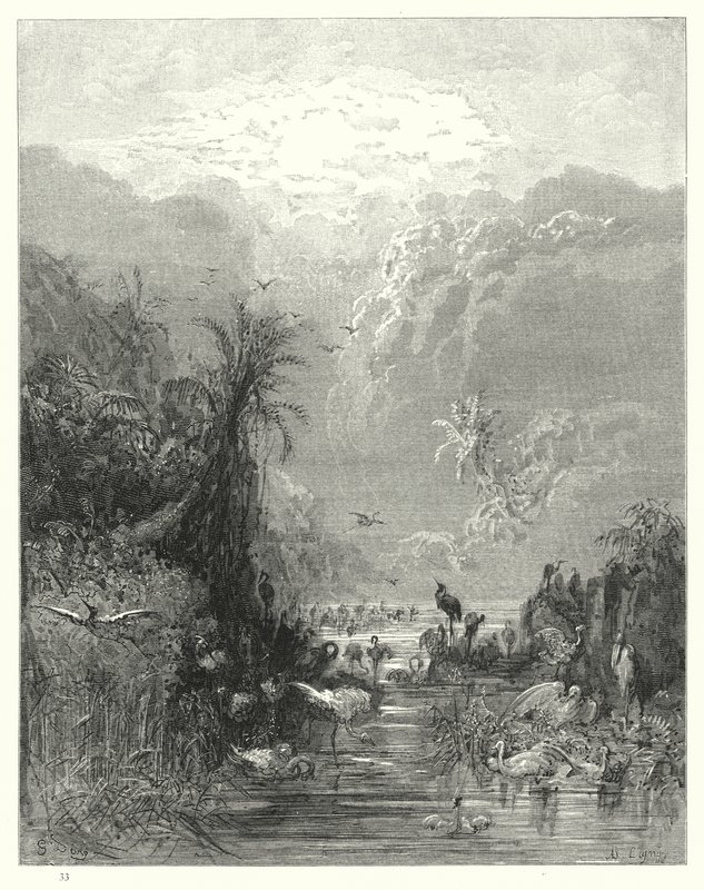 Illustration de Gustave Doré pour Le Paradis Perdu de Milton, Livre VII, vers 417, 418 - Gustave Dore