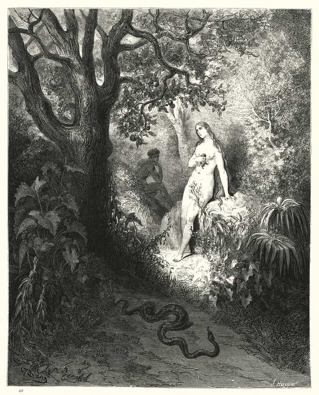 Illustration de Gustave Doré pour Le Paradis Perdu de Milton, Livre IX, vers 784, 785 - Gustave Dore
