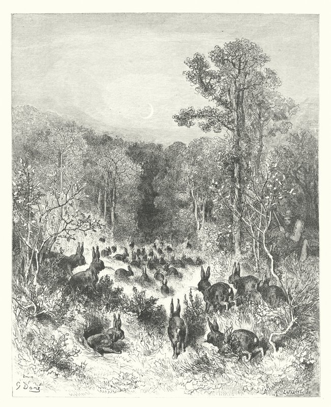 Les Fables de La Fontaine : Les Lapins - Gustave Dore