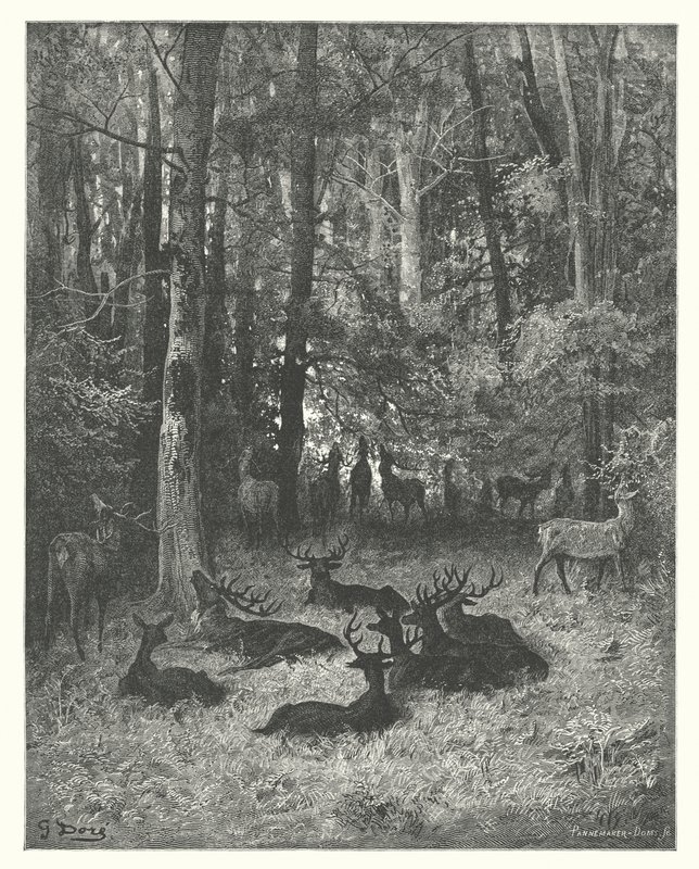 Les Fables de La Fontaine : Le Cerf malade (gravure) - Gustave Dore