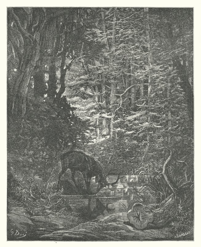 Les Fables de La Fontaine : Le Cerf se voyant dans l