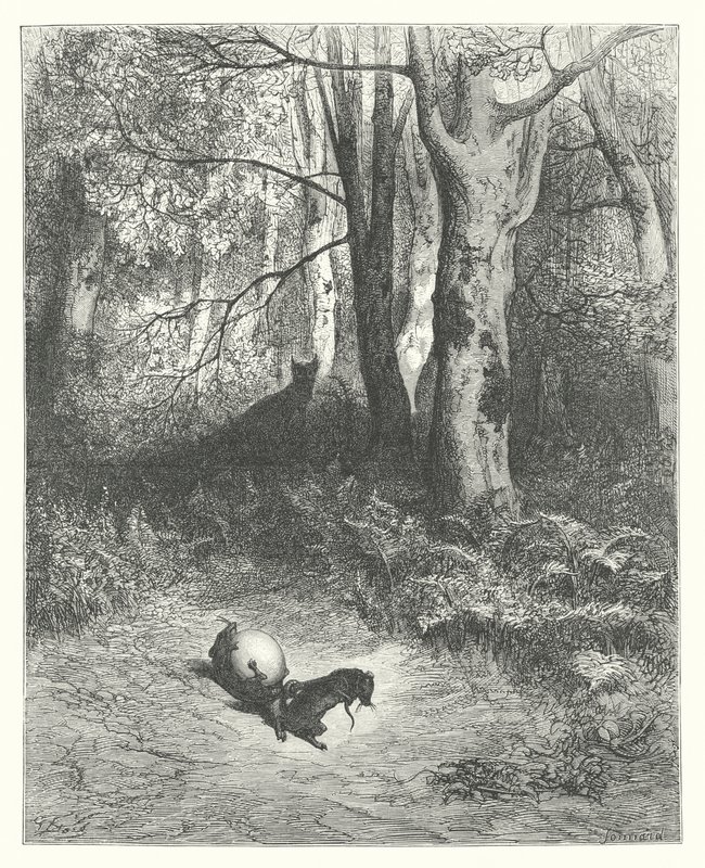 Les Fables de La Fontaine : Les Deux Rats, le Renard et l