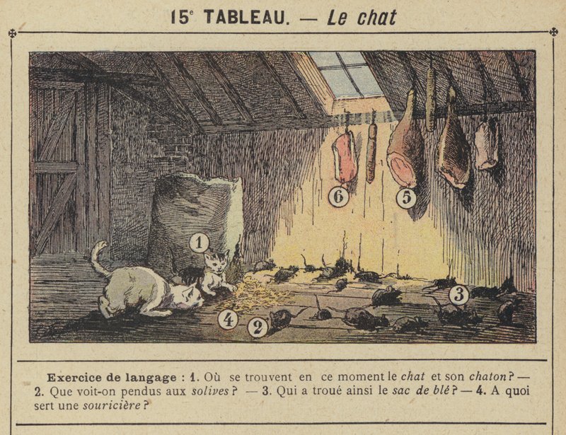 Le chat - Gustave Fraipont