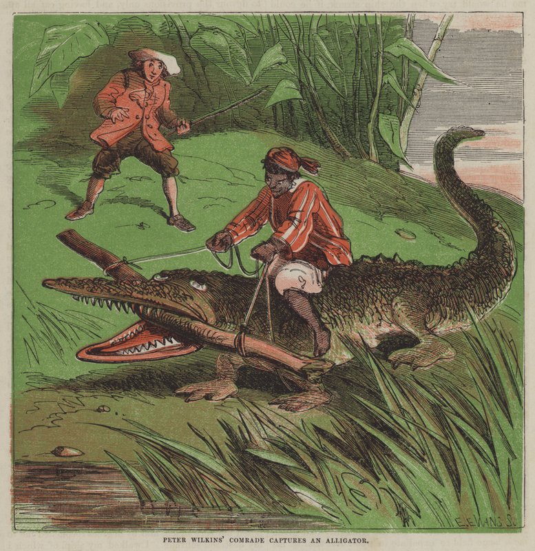 Le camarade de Peter Wilkins capture un alligator (lithographie en couleur) - after Hablot Knight Browne