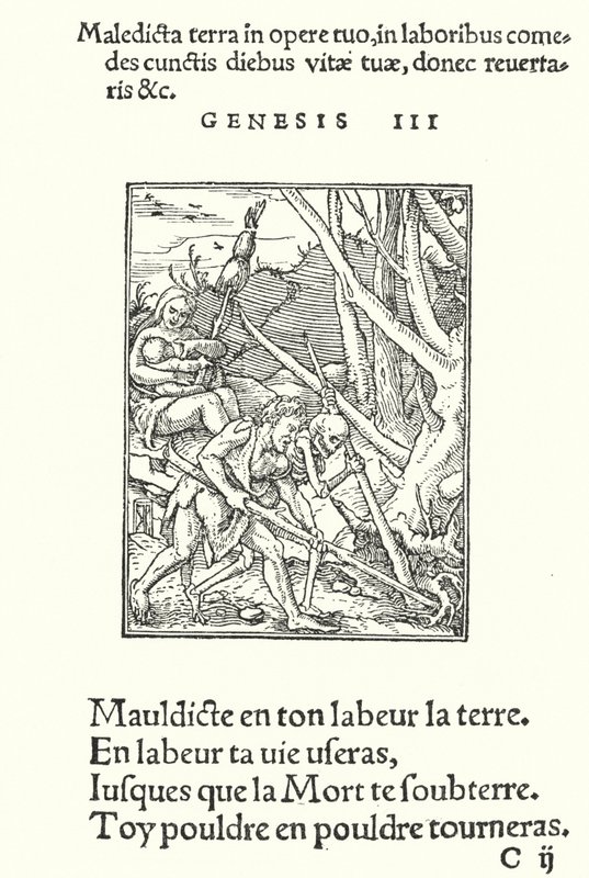 La Malédiction sur Terre et sur l