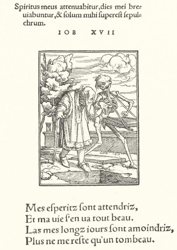 Le Vieil Homme - Hans (after) Holbein the Younger