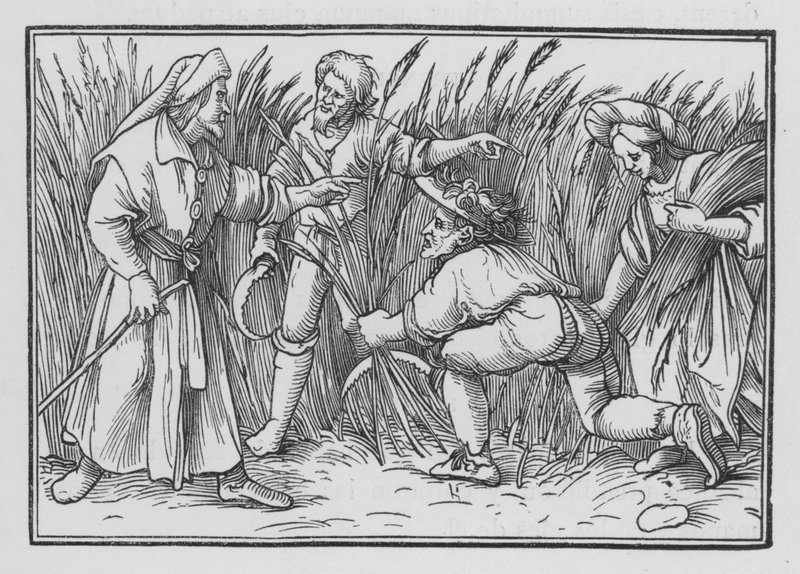 Ruth Glane dans les Champs de Boaz, Ruth II, 5 - Hans after Holbein the Younger