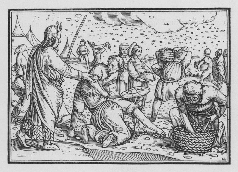 Les Israélites Murmurent par Manque de Pain, Exode XVI, 4 - Hans after Holbein the Younger