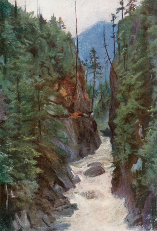 Canyon de Capilano, près de North Vancouver - Harold Copping