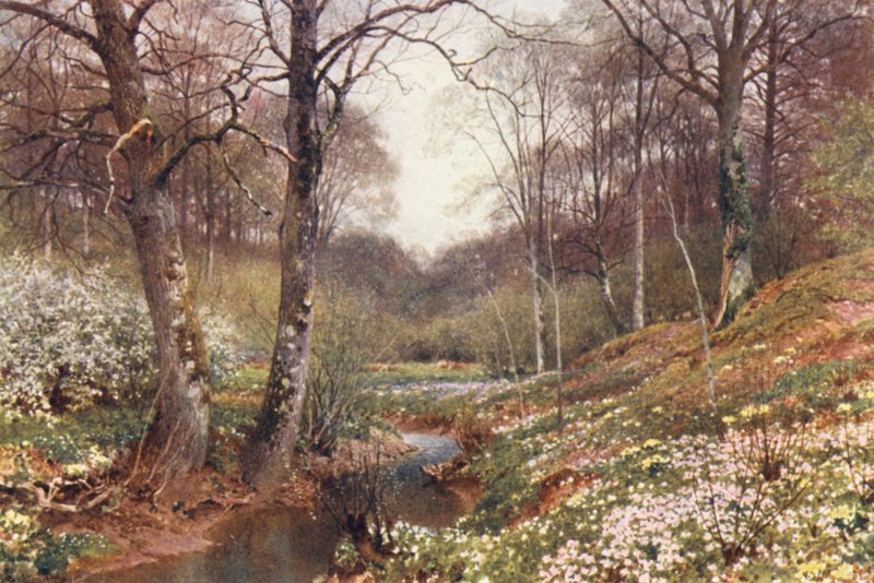 Fleurs de printemps, près de Dorking - Harold Sutton Palmer