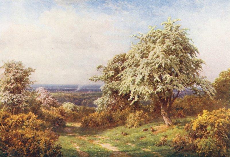 La fierté du printemps, Newlands Corner - Harold Sutton Palmer