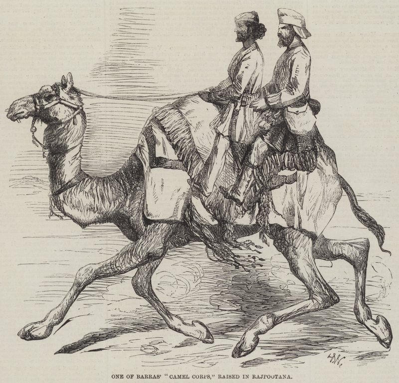 Un des corps de chameaux de Barras, levé à Rajpootana - Harrison William Weir