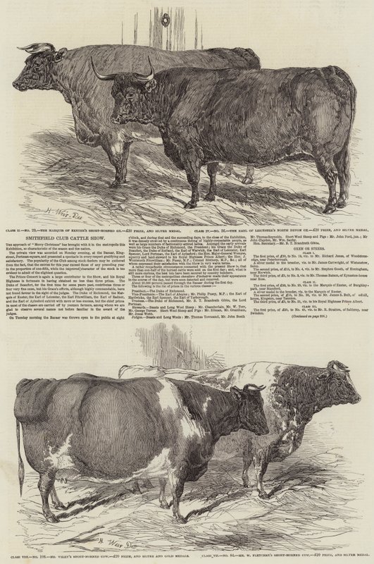 Exposition de bétail du Smithfield Club - Harrison William Weir