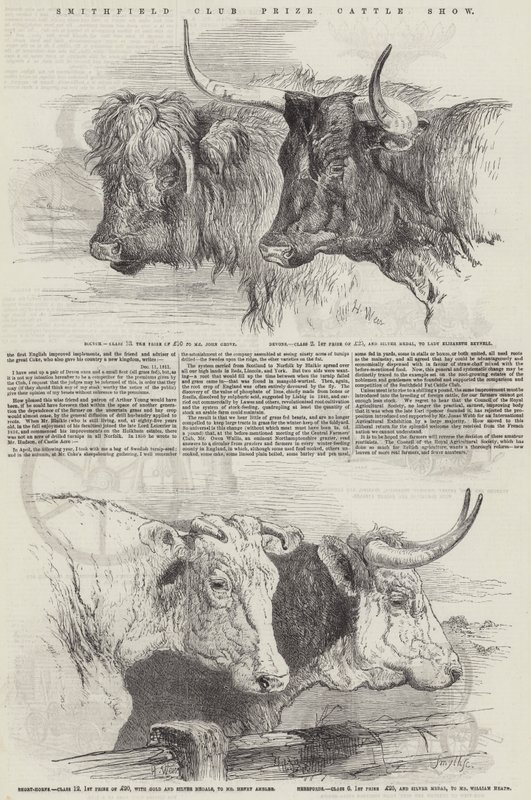 Exposition de bétail primé du Smithfield Club - Harrison William Weir