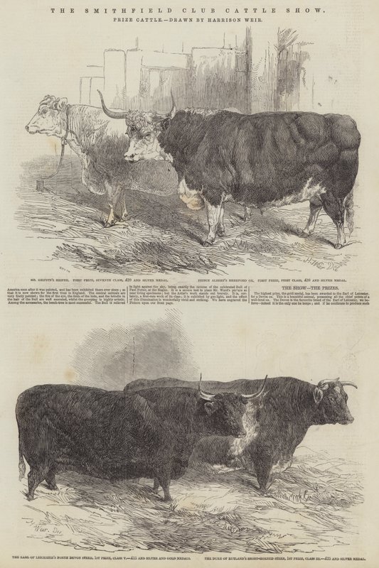Le Smithfield Club Cattle Show, bétail primé - Harrison William Weir