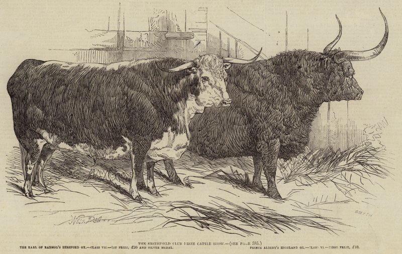 Exposition de bétail primé du Smithfield Club - Harrison William Weir